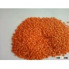 Red Football Type Lentils