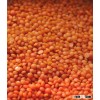 Red Lentils