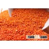 Red Lentils
