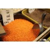 2016 Canadian Red Lentils