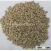 2013 new crop Green Lentil