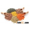 Organic Green/Red Lentils