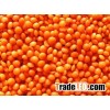 High Quality Lentils/Red Lentils/Green Lentils For Sale