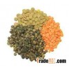 Thailand green lentil for sale