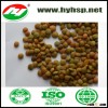 Green Lentils
