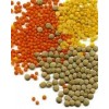 Contact Supplier Leave Messages High Quality Lentiles/Red Lentiles/Green lentiles VERY HIGH GRADE Ho