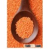 Lentil/Red Lentil/Green Lentil for sale