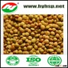 Chinese Green Lentils