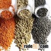 High Quality Lentiles/Red Lentiles/Green Lentiles