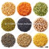 2016 new High Quality Whole And Split Lentils/Red Lentils/Green Lentils