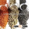 Brown Lentils dried Green Red. Brown and yellow lentils for sale
