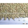 lentils