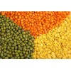 100% Red Split Lentils & Green Split Lentils , Lentils Beans Suppliers for Sale at cheap prices