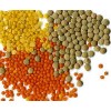 High Quality Lentiles/Red Lentiles/Green Lentiles