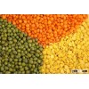 Red Lentil / Green Lentil for sale