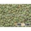 Quality Green Lentils