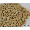 Green Lentils