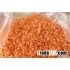 100% Red lentils whole with and without husk sortexed quality