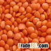Gram Lentil Channa Dal