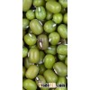 Green Lentils
