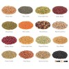 RED LENTILS, SPLIT LENTILS, FOOTBALL ROUND LENTILS, CHICKPEAS, SOYBEANS,