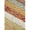 RED LENTILS, SPLIT LENTILS, FOOTBALL ROUND LENTILS, CHICKPEAS, SOYBEANS,