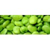 Wholesale Lima bean