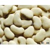 Large Lima Bean