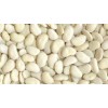 Lima Beans