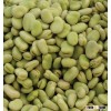 Lima Beans