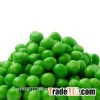 High Quality Fresh Peas GRADE a FOR SALE HOT SALES
