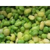 Lima bean