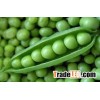 Green Peas