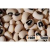 Fresh Cow Pea