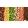 Green Peas