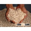 COW PEA