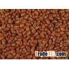 Cow Pea