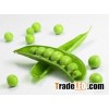 Green Peas