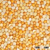 YELLOW SPLIT PEAS