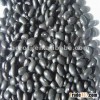 Black Kidney Bean