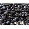 Bulk Dried Black kidney beans