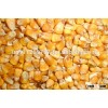 Fodder corn