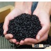 BLACK TURTLE BEANS