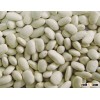 Organic White Kidney Beans Good Price / White Kidney Beans