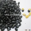 Long shape black kidney beans yellow kernels inside