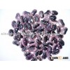 large black speckled kidney beans