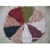White Kidney Beans (Long Shape& Round) Grade A for sale