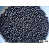 New stock Black Matpe Beans for Sale / Black Matpe Beans
