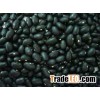Black Beans