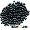 BLACK KIDNEY BEANS FOR SALE